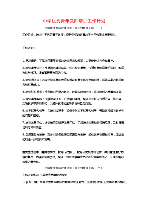 中学优秀青年教师培训工作计划2篇