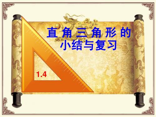 直角三角形的小结与复习