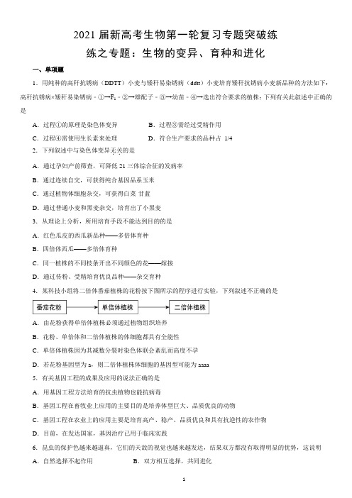 新高考生物第一轮复习专题突破练 生物的变异、育种和进化(含答案)