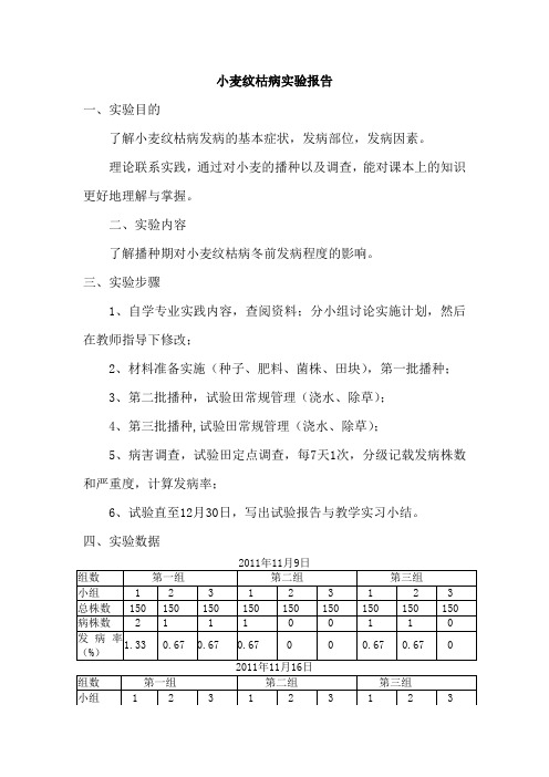 小麦纹枯病的调查