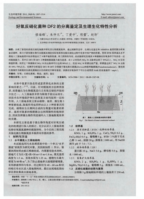 好氧反硝化菌种DF2的分离鉴定及生理生化特性分析