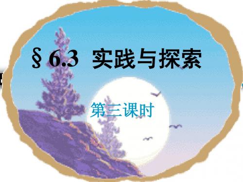 《 实践与探索(3)》精品课件   华东师大版   七年级下