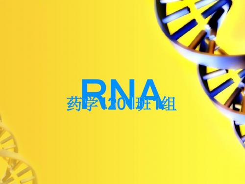 讨论二：RNA检测