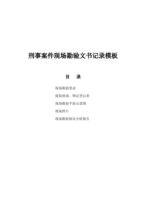 刑事案件现场勘验文书记录模板