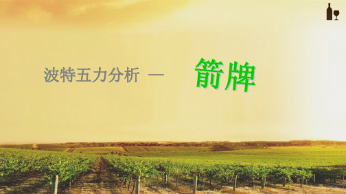箭牌五力分析