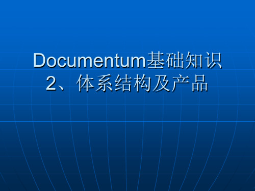 Documentum基础知识2