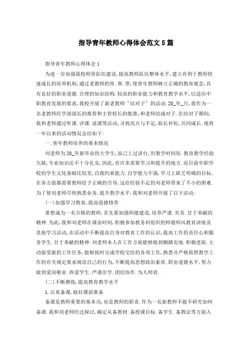 指导青年教师心得体会范文5篇