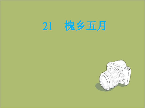 苏教版三年级下册21槐乡五月课件