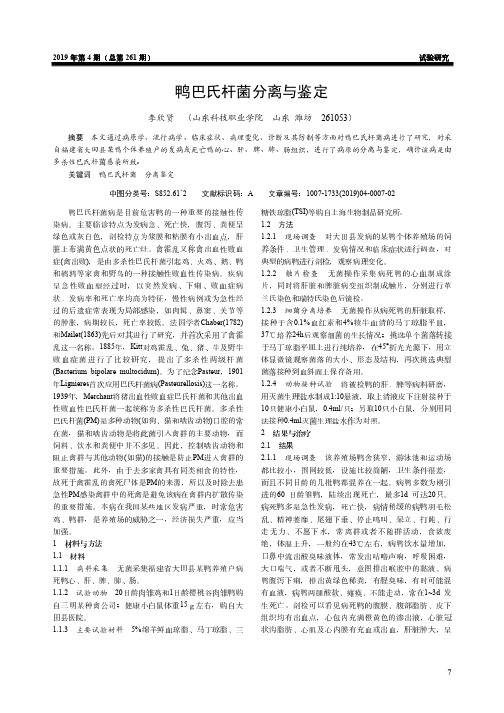 鸭巴氏杆菌分离与鉴定