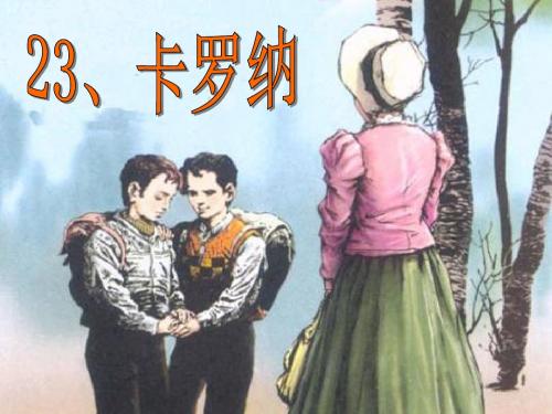 23卡罗纳公开课课件.ppt