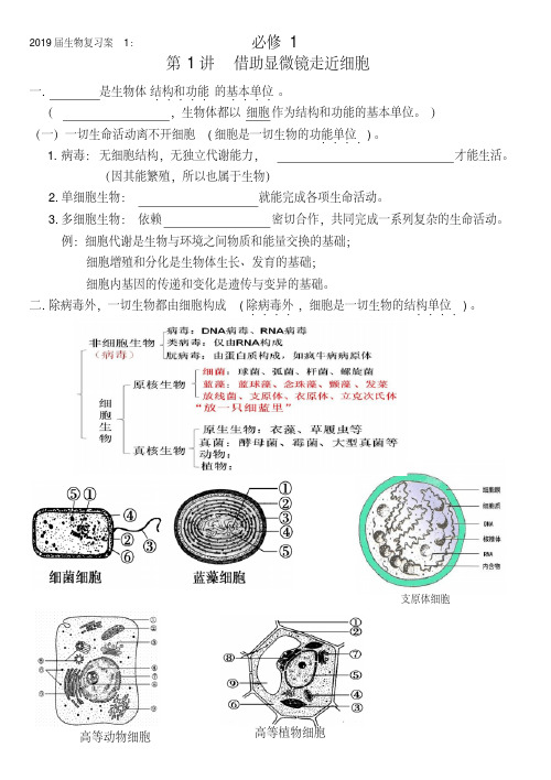 2019届高三生物一轮复习教案三年精心打造知识完善