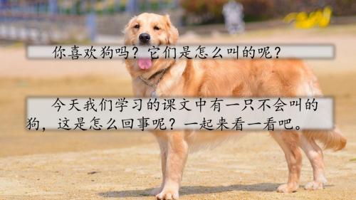 部编人教版三年级上册语文 第14课 不会叫的狗