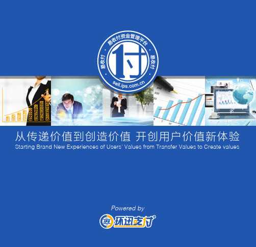环迅支付——易收付产品介绍