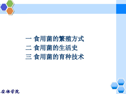 食用菌的遗传与育种