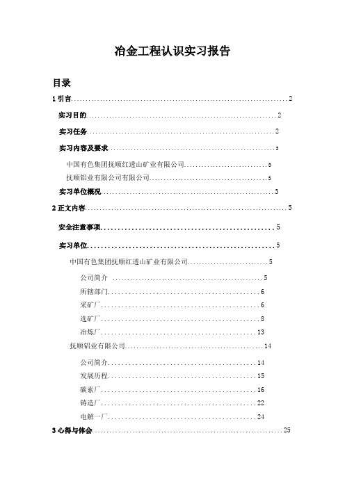 冶金工程认识实习报告