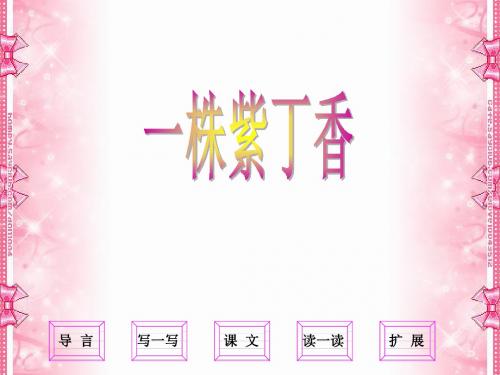 苏教版二年级上册语文《一株紫丁香》公开课课件PPT