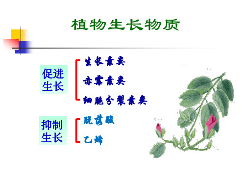 第七章  植物生长物质改(ABA-Eth)-ABA作用机理