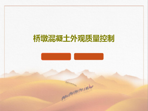 桥墩混凝土外观质量控制PPT55页