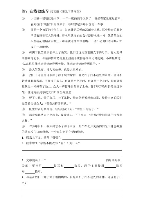 语文人教版六年级下册阅读题《阳光下的守望》