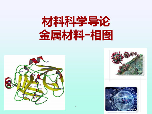 金属材料-相图1PPT课件
