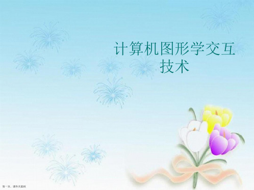 计算机图形学交互技术