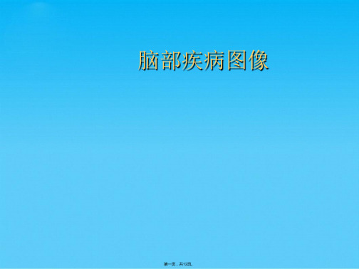 脑部疾病图像(共12张PPT)