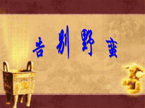 告别野蛮(第一课时)