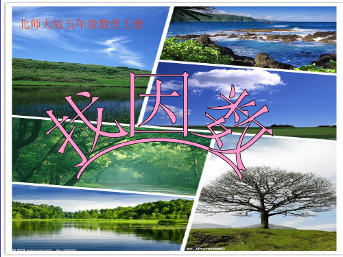 北师大版五年级数学上册找因数ppt课件