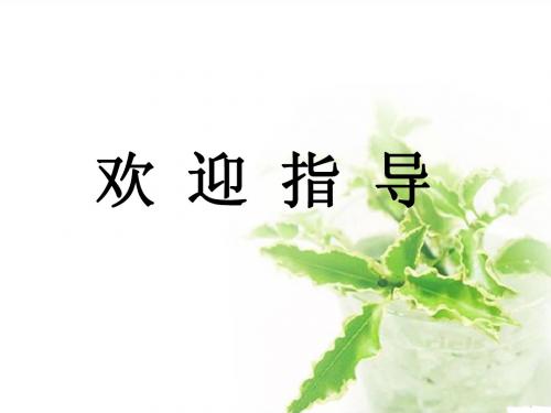 初中思想品德《让我们选择坚强》课件