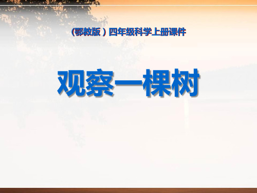 《观察一棵树》寻访校园里的动植物课件PPT