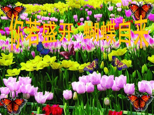 29课 百花齐放百家争鸣(宋2)