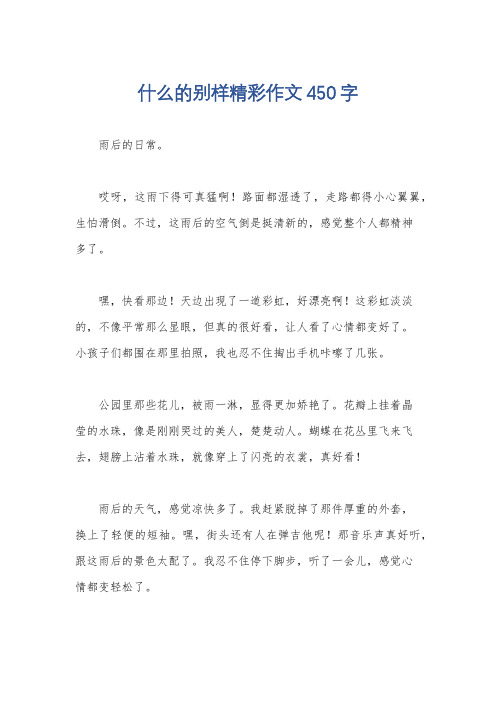 什么的别样精彩作文450字