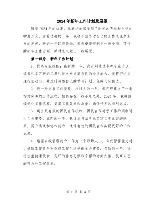 2024年新年工作计划及展望