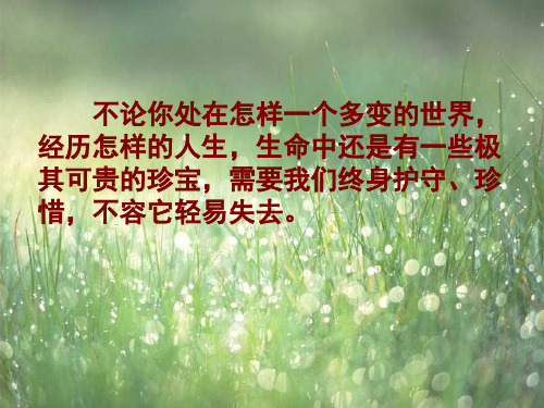 七级语文上《3 生命生命》课件5人教(通用)