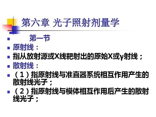 6第六章光子照射剂量学解析