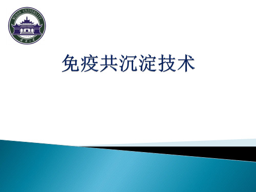 免疫共沉淀
