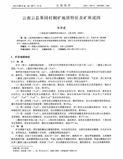 云南云县果园村铜矿地质特征及矿床成因