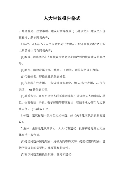 人大审议报告格式