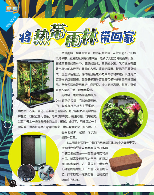 将热带雨林带回家