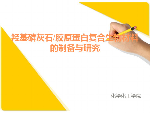 羟基磷灰石胶原蛋白复合生物材料的制备与研究PPT课件
