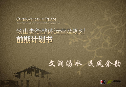 老街整体运营及规划前期计划