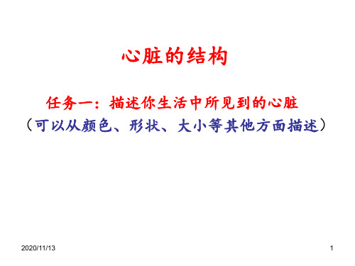 心脏的结构心结构图 ppt课件