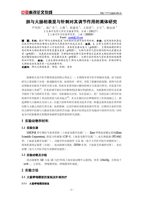 肺与大肠相表里与针刺对其调节作用的离体研究