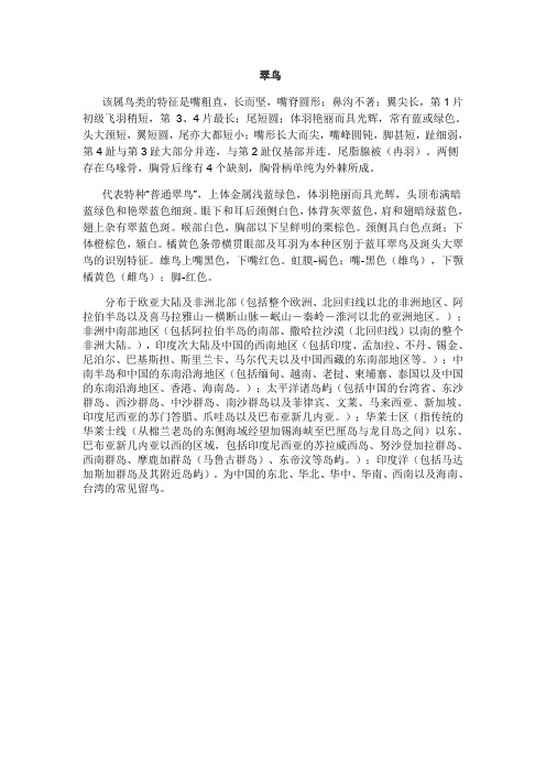 翠鸟资料