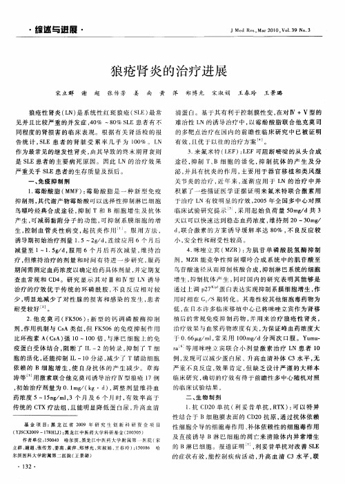 狼疮肾炎的治疗进展