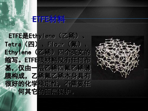 ETFE 材料