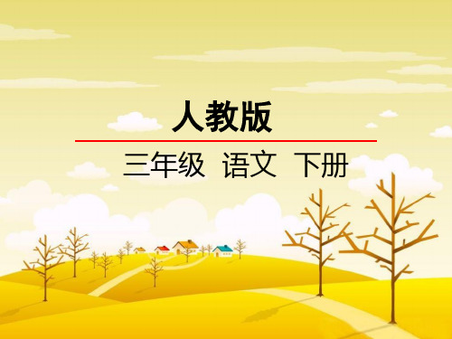第28课 中国国际救援队,真棒 课件