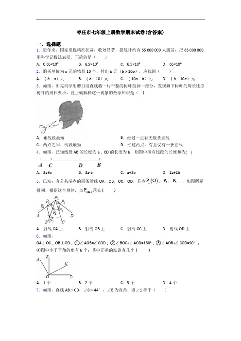 枣庄市七年级上册数学期末试卷(含答案)