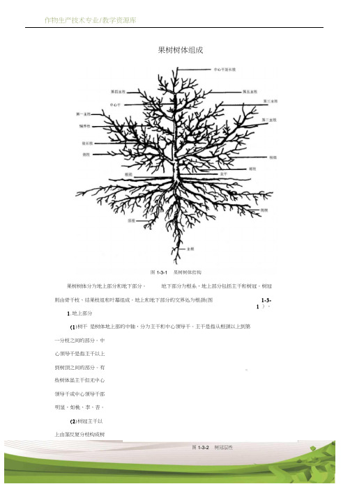 设施果树生产果树树体组成技术资料1