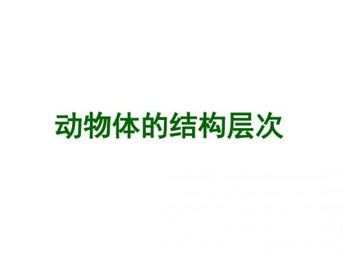 七年级生物上册 2.2.2 动物体的结构层次课件 (新版)新人教版
